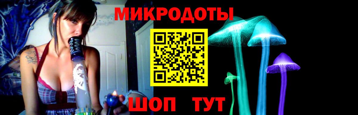 Галлюциногенные грибы Cubensis Валуйки